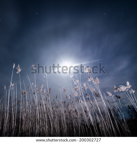 Halo ray of  the moon - night full moon mystical landscape background