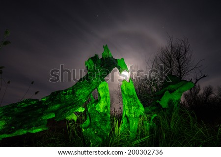 Burned tree -in green light at night full moon,stars and mystyc landscape background