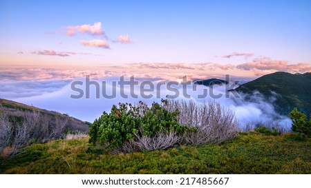 Above the clouds mountain panorama background