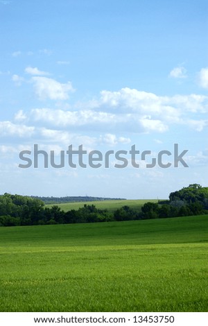 Vertical picture of green farm field under blue sky