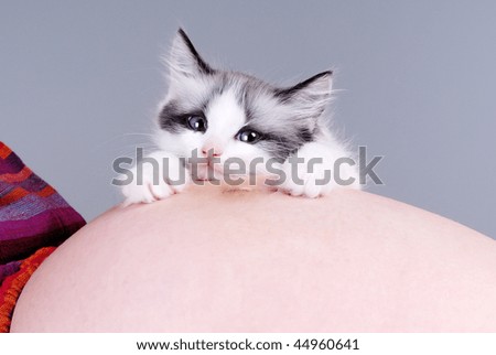 pregnant cat kurtz. Pregnant+cat+kurtz