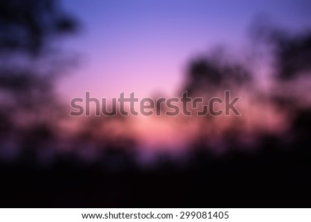traveling nature tree in forest blur background, picture, photo
