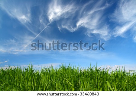 green grass under blue sky with fleecy clouds