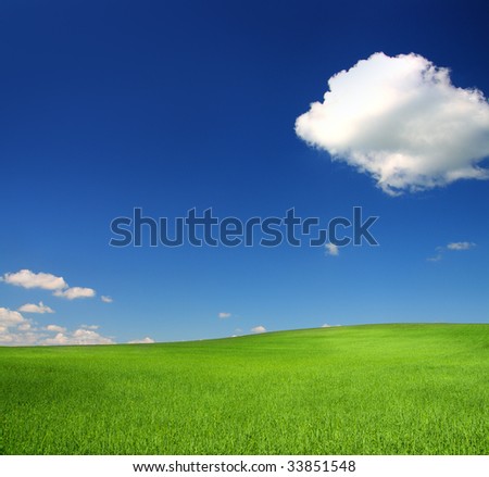 green hill with wheat under blue sky