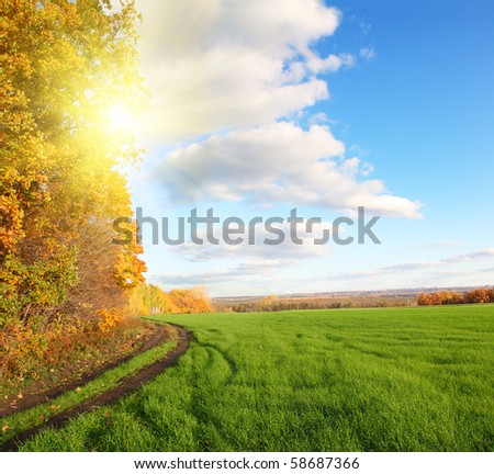 autumn landscape with green wheat field and yellow woods