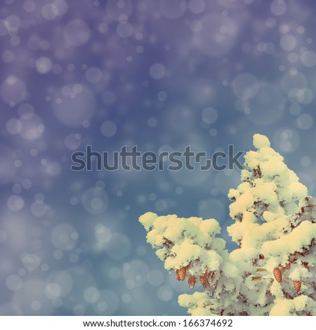 blue sky background with cones on christmas fir - vintage retro style