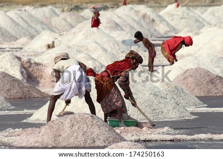 SAMBHAR, INDIA - NOVEMBER 19, 2012: Indian workers mined salt in salt lake Sambhar