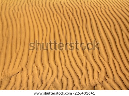 ripple sand in desert - background