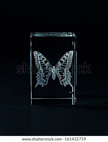 Laser engraving butterfly inside the glass on a black background.