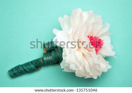 Tissue Paper Flower on Mint Background
