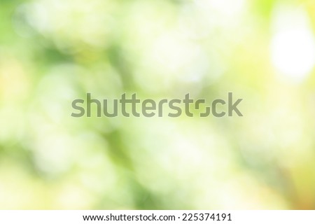 Green nature abstract background - bright and beautiful