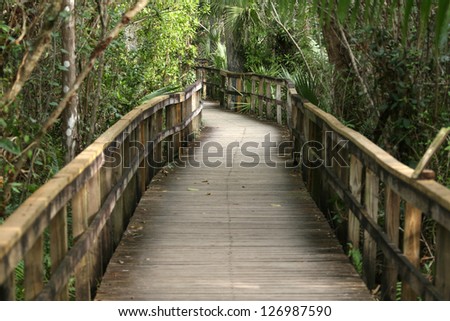 nature park reserve boardwalk in Florida, USA