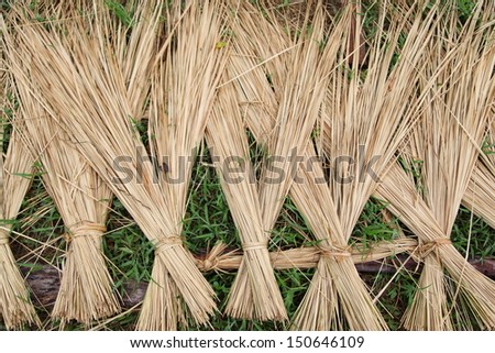 Texture of straw.Close up straw background.