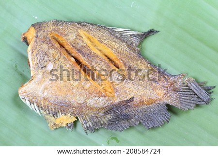 Trichogaster pectoralis, fried salid fish thai food on green leaf banana in kitchen