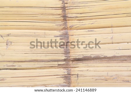 Close up of bamboo mat background