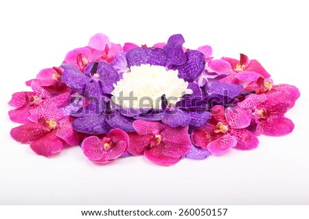Pink, purple orchid flower and white chrysanthemum isolated on white background