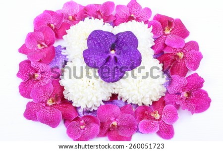 Pink, purple orchid flower and white chrysanthemum on white background
