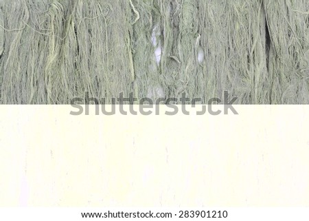Green seaweed background