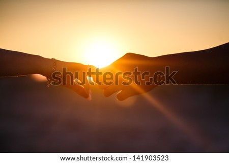 hands of the bride and groom in the setting sun luchayh