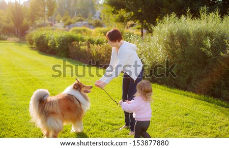 Mom and daughter are trained collie dog in the park at sunset