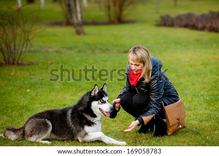 Friendship between human and dog. blue-eyed husky. walk in nature
