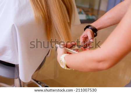 cut hair. woman in a beauty salon has cut hair