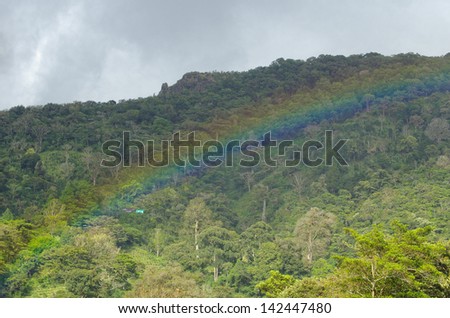 Tropical Forest and Rainbow. Boquete, Chiriqui, Panama.