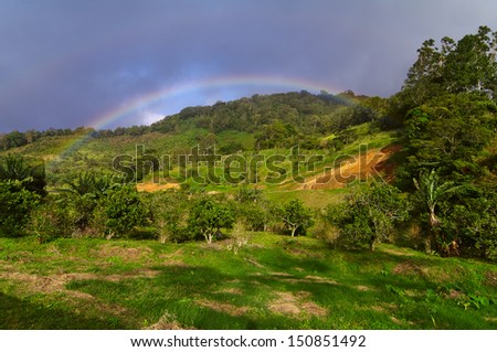 Agricultural land around the town of Boquete in the highlands of Panama (Central America).
