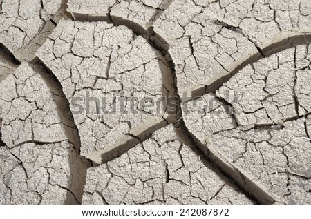 Cracked dry mud. Photo taken in the Southern California high desert.