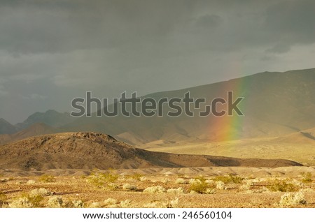 Rainbow during a passing rainstorm in the Southern California desert (Mojave Desert).