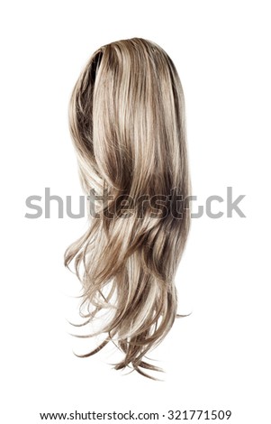long curly gray wig on a white background