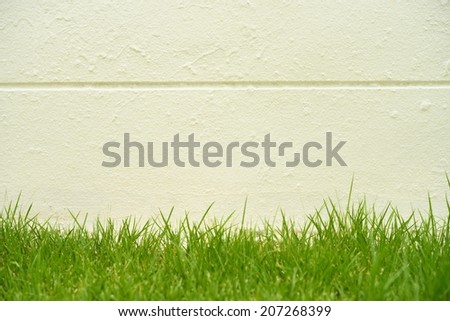 Green grass and wall background useful for graphic designer