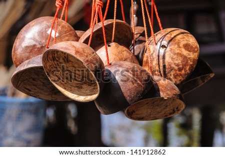 Craft coconut shell.
