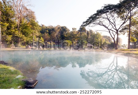 Tree environment hot spring at Jaeson National Park in Lampang, Thailand