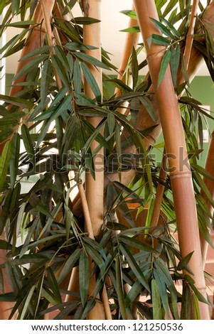 green branch and leaf bamboo background