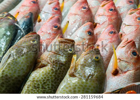 Fresh catch of fish background Sea food