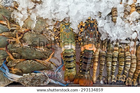 Assorted lobster and crabs close up ice in fish market.