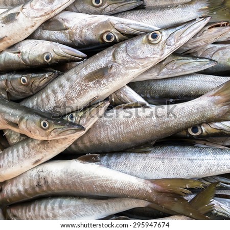 fresh silver fish seafood in market closeup background