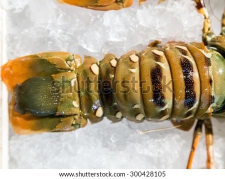 Lobster Sea food.