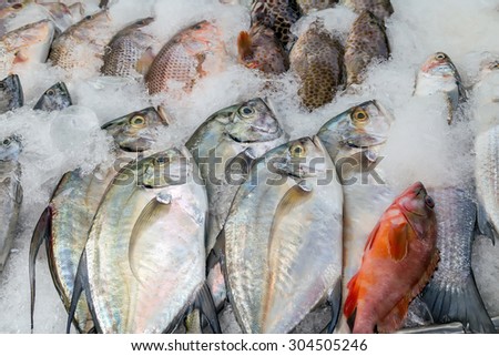 seafood set on ice sea market. Seafood on ice, background Sea food