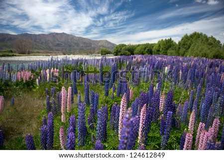 Beautiful landscape Mountains, and lake, South island New Zealand