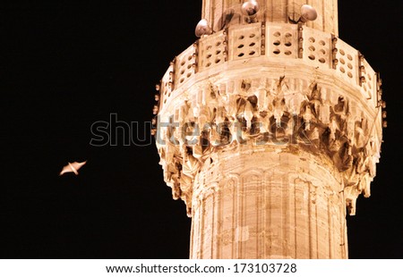 bird in the night sky near the minaret of Blue Mosque, Istanbul
