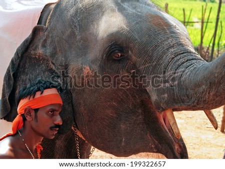 GOA, INDIA - FEB 19, 2008: Indian man with trained elephant. Elephant - a symbol of positive character - is used in Asia as a supreme royal animal and is highly regarded for the mind and trick