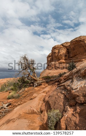 Canyon rock at Utah