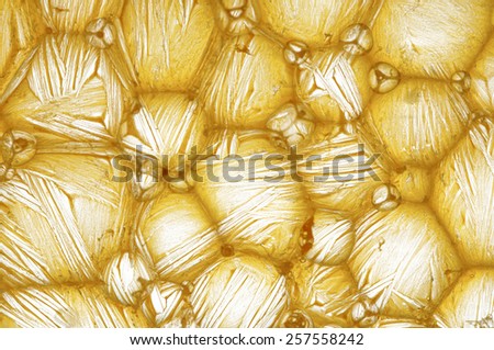 Yellow micro fibers on small bubbles