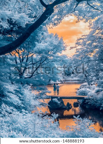 Taken in Rikugien Park, Tokyo, Japan. An extended infrared photo (650nm - 1000nm).