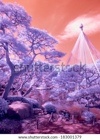 Japanese Park. Infrared photo.