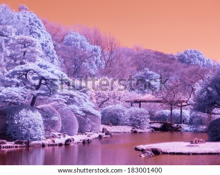 Japanese Park. The Koishikawa Botanical Gardens. Infrared photo.
