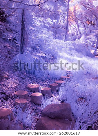 Extended infrared shot, these ethereal colours are all invisible to the eye. Japanese stepping path.