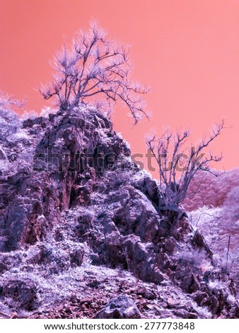 Desolate landscape, Nagano, Japan. Extended Infrared.